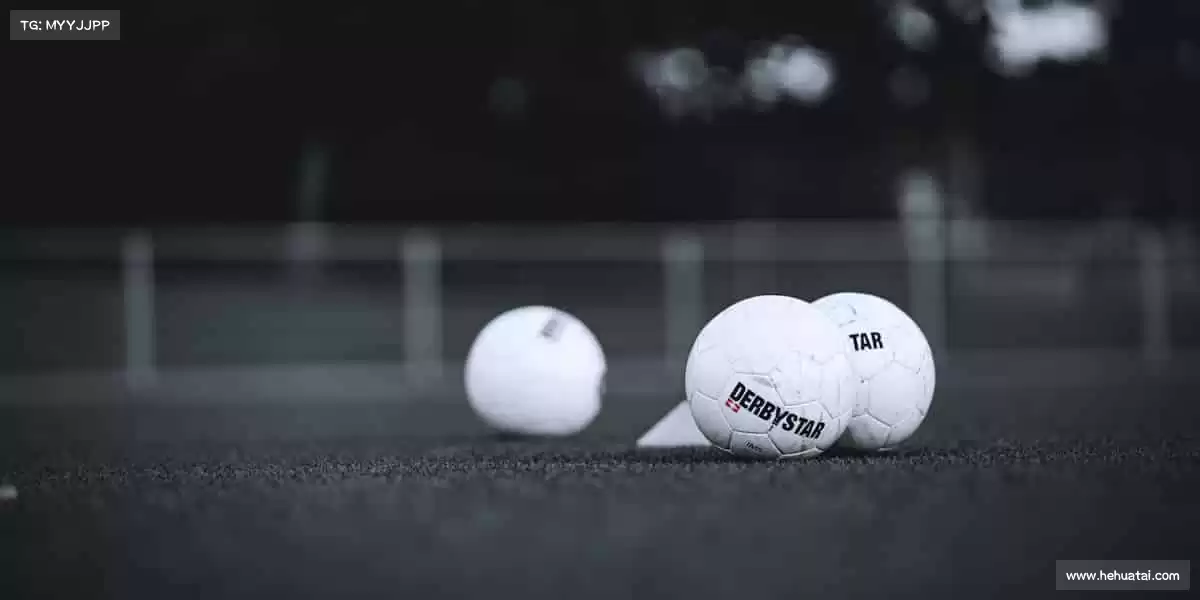 行业领先的理由